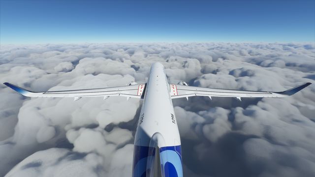 Simulation screenshot